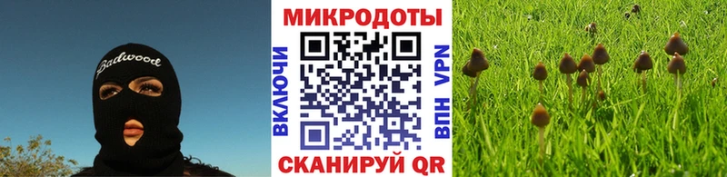 hydra зеркало  Бийск  Псилоцибиновые грибы прущие грибы 