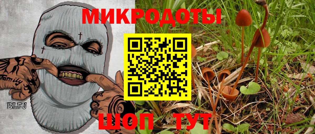 Галлюциногенные грибы мухоморы  Галлюциногенные грибы Magic Shrooms  Бийск 