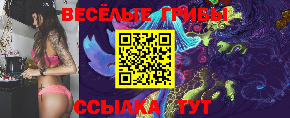 Псилоцибиновые грибы GOLDEN TEACHER  Псилоцибиновые грибы мухоморы  Вход с VPN  Бийск 