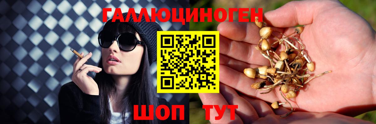 COCAIN  Альфа ПВП СОЛЬ кристаллы  МЕФ кристаллы  Бийск  Гашиш  Конопля  Вход с VPN 