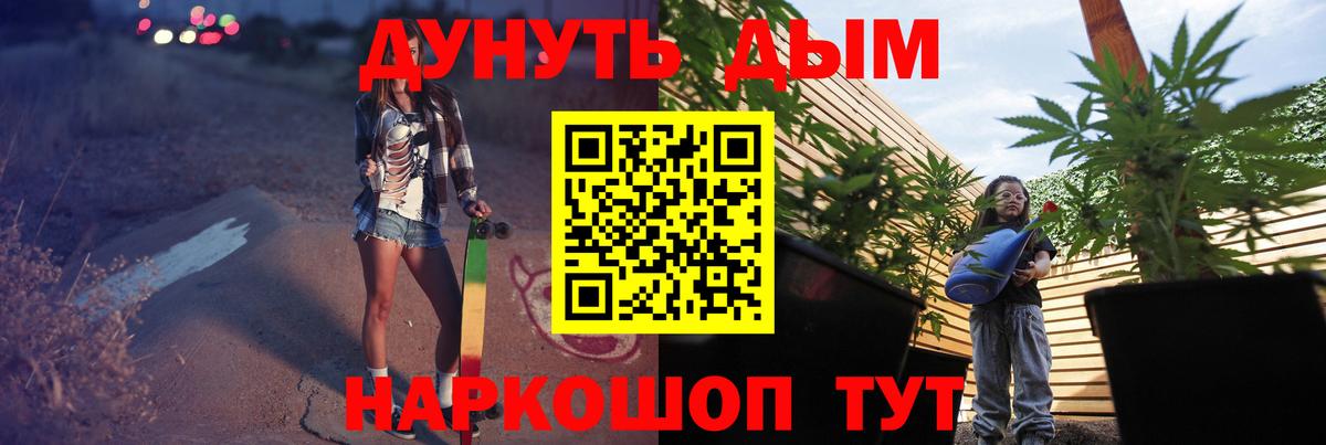 Каннабис OG Kush Бийск