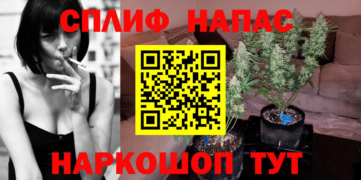Канабис Bruce Banner Бийск
